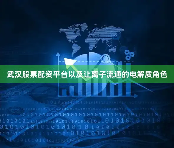 武汉股票配资平台以及让离子流通的电解质角色