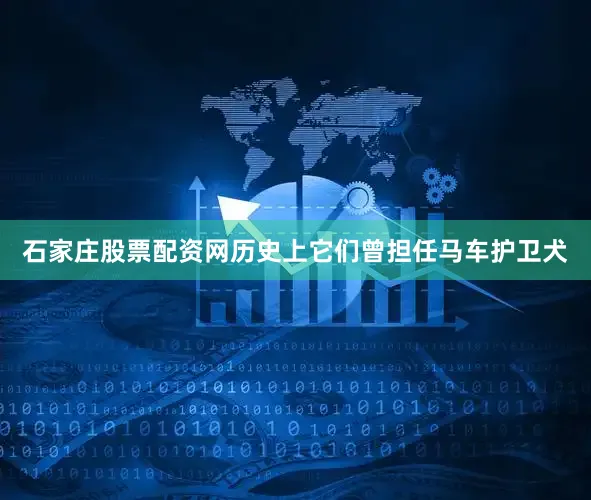 石家庄股票配资网历史上它们曾担任马车护卫犬