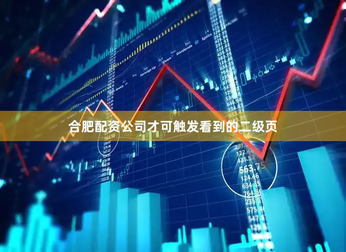 合肥配资公司才可触发看到的二级页